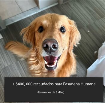 Los incendios recientes han puesto