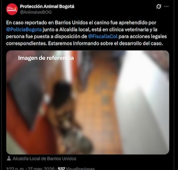 Una mujer fue capturada en Barrios Unidos, Bogotá, tras quedar registrada en cámaras de seguridad golpeando y arrastrando a un perro - crédito @AnimalesBOG / X