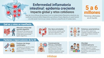Infográfico de la Enfermedad Inflamatoria Intestinal: sistema digestivo inflamado, estadísticas globales, causas, síntomas y abordaje multidisciplinario.