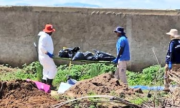 El predio se ubica en