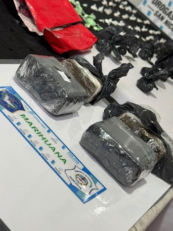 Marihuana incautada en el procedimiento