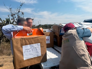 La Profepa liberó 16 ejemplares de fauna silvestre en la Reserva de la Biosfera Barranca de Metztitlán, en Hidalgo, tras un proceso de rehabilitación y recuperación. Foto: (Profepa)