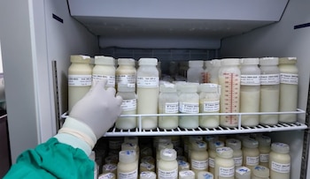 La leche materna es fundamental para la atención de bebés prematuros y recién nacidos vulnerables. Crédito: CCSS