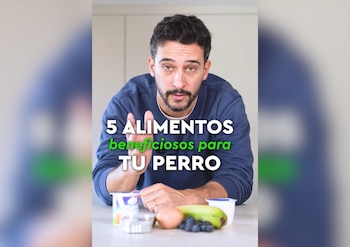 Veterinario experto en nutrición canina