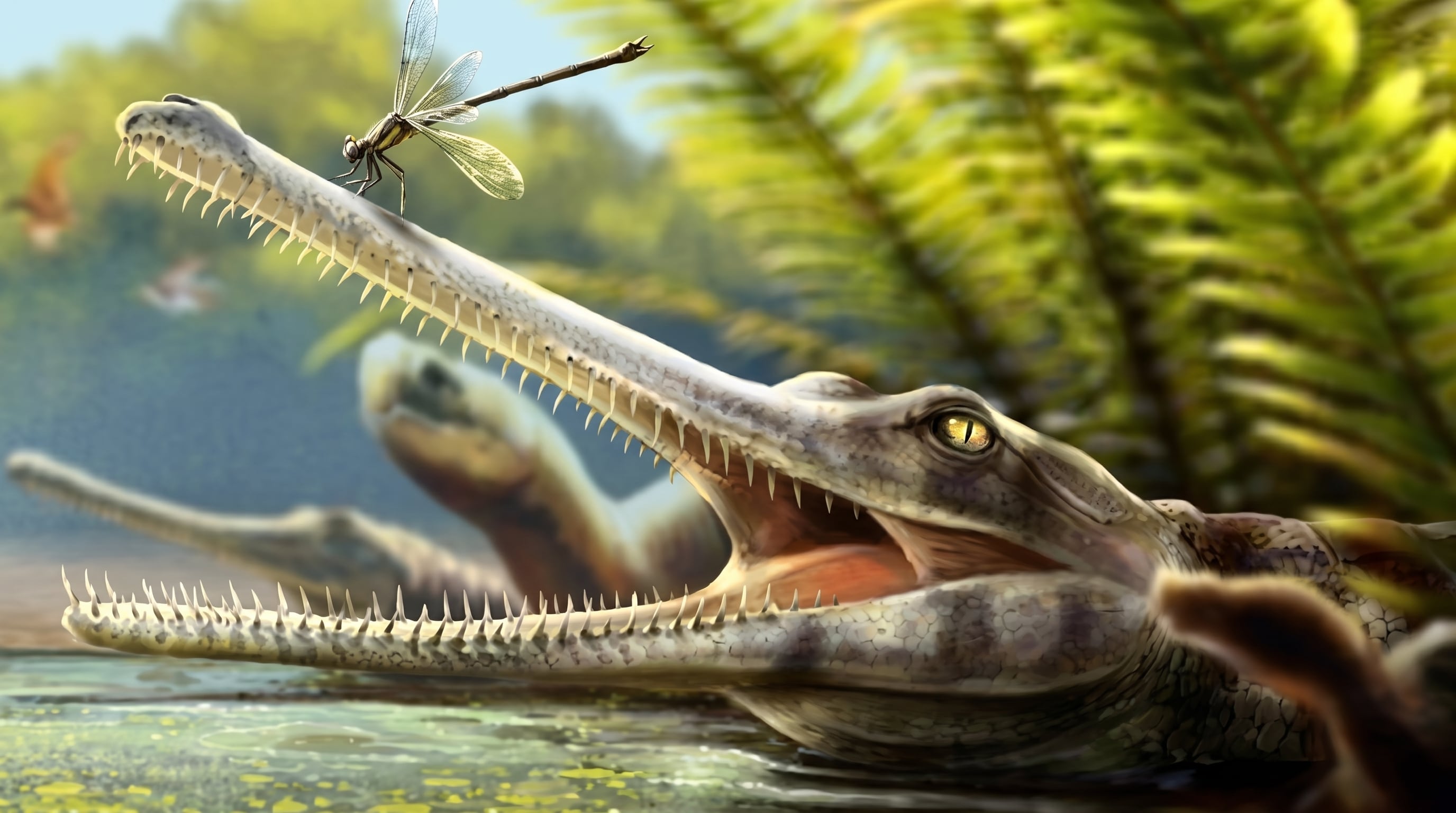 Fósil en Marruecos revela una dieta inesperada en cocodrilo prehistórico