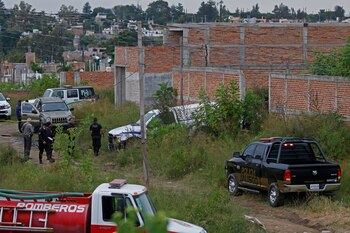 Más de 800 cadáveres se