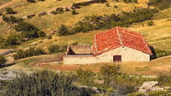 ¿Puedo reclamar un terreno abandonado en España y ponerlo a mi nombre? Esto es lo que dice la ley