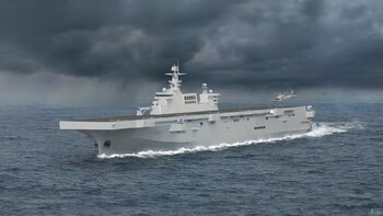 Representación artística del Tipo 075.