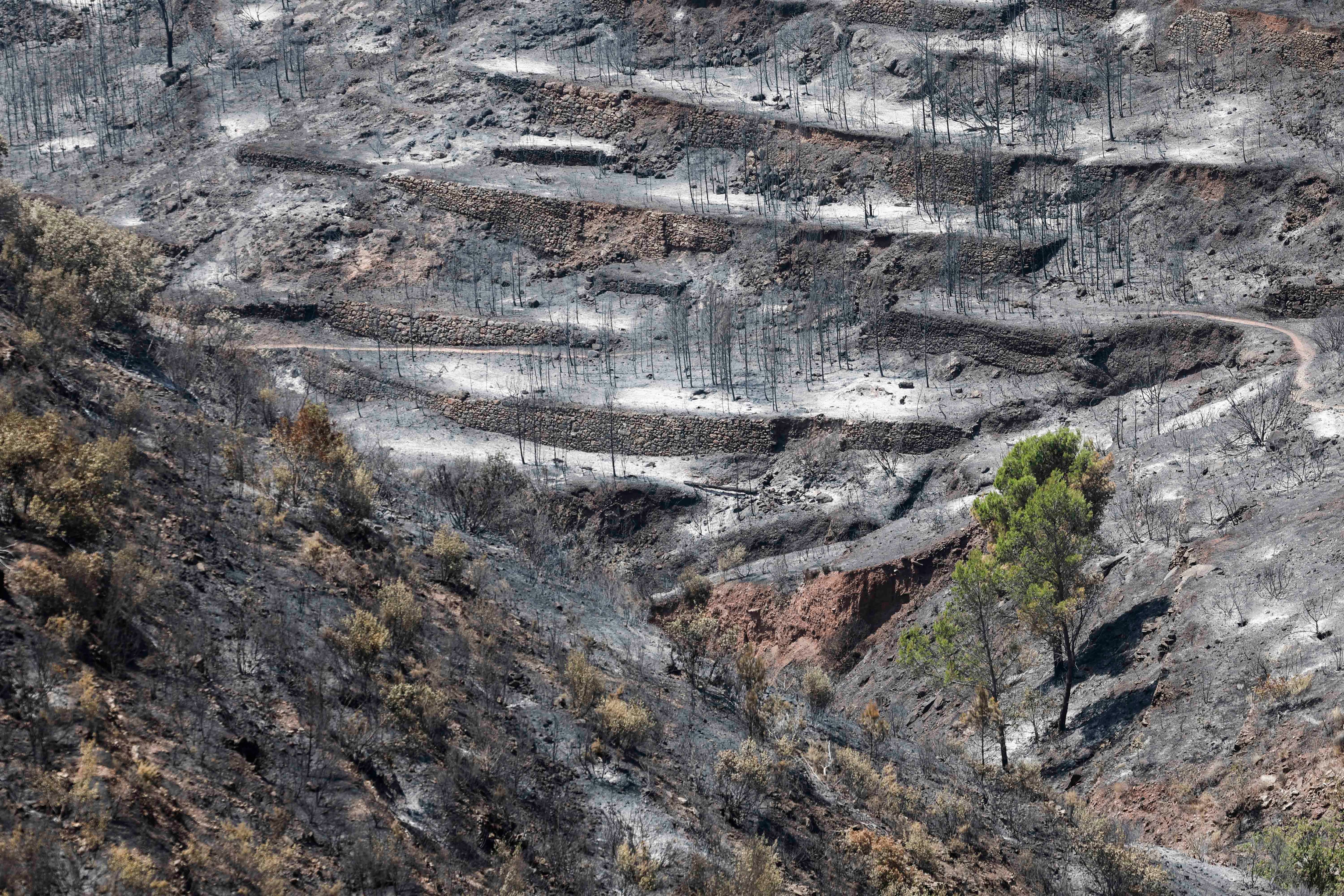 Paisaje quemado en La Vall d'Uixó (Castellón). (EFE/Kai Försterling)