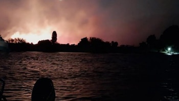 Hace pocos días se logró