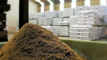 Indecopi: en el Día Internacional