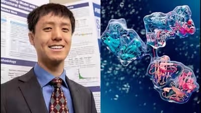 El modelo de inteligencia artificial traduce estructuras moleculares en cadenas numéricas para comparar moléculas con mayor rapidez