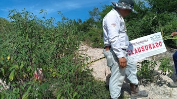 Profepa clausura proyecto minero en