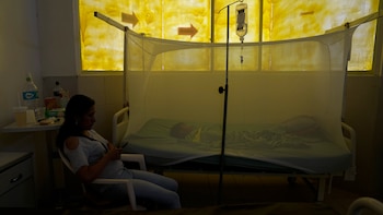 Aumento de chikungunya en Bolivia