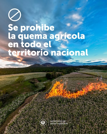 El Ministerio de Medio Ambiente ha decretado la prohibición total de quemas agrícolas debido al riesgo extremo de incendios forestales por las altas temperaturas.