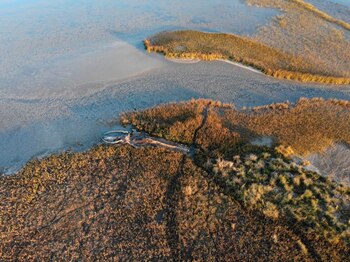 Reserva Natural Silvestre Marismas del Tuyú