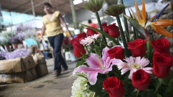 En el Perú hay más