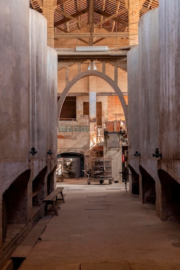 El renacimiento de la cooperativa