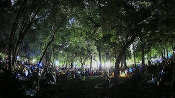 Aqüifera Festival del Bosque 2026: