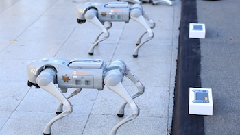 Así son los perros robot