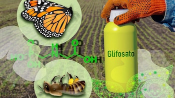 Además de sus posibles efectos