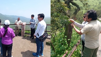 Promueven actividades accesibles e inclusivas