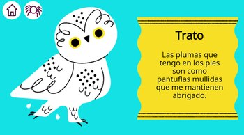 Búho (Foto: Google)