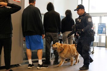 Aumento de inspecciones fronterizas según