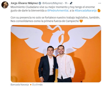 Pedro Armentía, diputado, dejará el