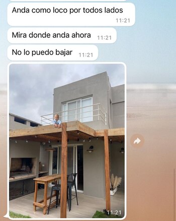 Las divertidas fotos editadas de