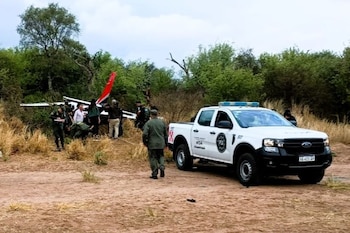 La avioneta con matrícula CP-3167 y bandera boliviana quedó incrustada en la vegetación tras estrellarse contra una cortina de arbustos en una finca de Rosario de la Frontera