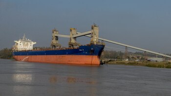 "En toda esa superficie, existen