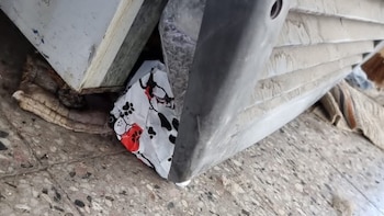 La bolsa bajo el motor.