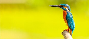 Paisajes exóticos y biodiversidad convierten