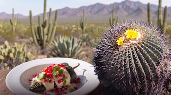 Un plato blanco con un chile cubierto de salsa, granada y cilantro, situado junto a un cactus redondo con flores en un desierto.