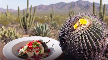 Un ingrediente del chile en nogada pone en peligro a un cactus mexicano, esto es lo que debes evitar al cocinar