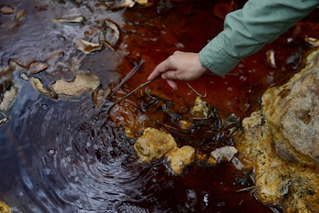 A woman dips an object into the water of the polluted San Sebastian River, affected by industrial and artisanal mining, during a media tour with environmental groups and community leaders in Santa Rosa de Lima, El Salvador, February 28, 2025. REUTERS/Jessica Orellana