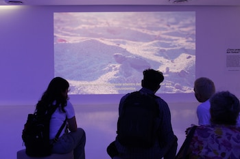 La muestra podrá visitarse del 4 al 16 de agosto en el Centro de Cultura Digital e incorpora materiales audiovisuales del documental Guardianes del Golfo y obras desarrolladas por diversos artistas.