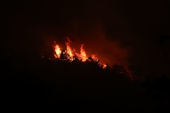 Incendio forestal en Coahuila: 23