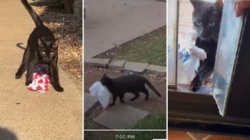 Algunas de las ocasiones en