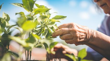 No necesitas experiencia: así puedes