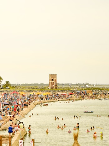 La biodiversidad y el valor