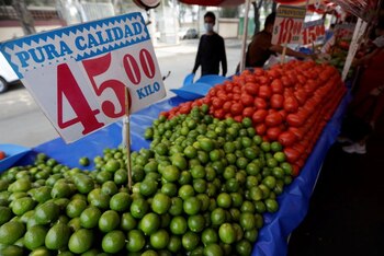 En 2024 el gobierno de