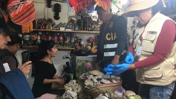 Las autoridades peruanas vienen combatiendo