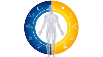 Cuerpo humano, círculo amarillo y azul, iconos de actividades diurnas como correr y trabajar, iconos de actividades nocturnas como dormir y descansar, sol, luna y estrellas.
