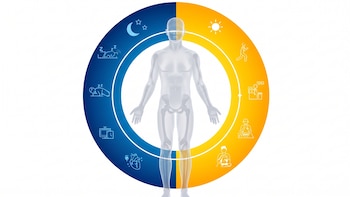 Jet lag social: qué es y cómo puede afectar al metabolismo, la mente y el microbioma