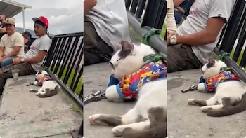 Controversia en la turística comuna