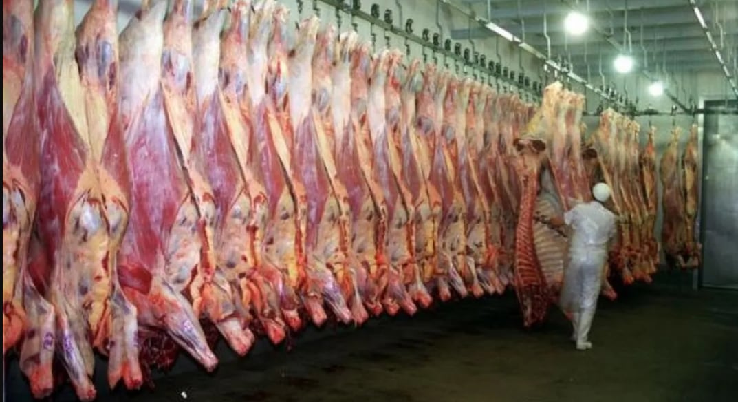 Entre enero y mayo, las exportaciones de carne bovina a Estados Unidos crecieron 369% interanual