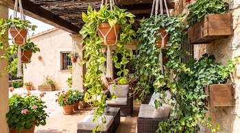 Terraza de una casa con plantas de pothos e hiedra inglesa en macetas colgantes, geranios en macetas, y un conjunto de sofás y mesas de exterior bajo una pérgola.