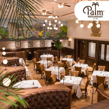 (Sitio: https://www.thepalm.com.mx/)